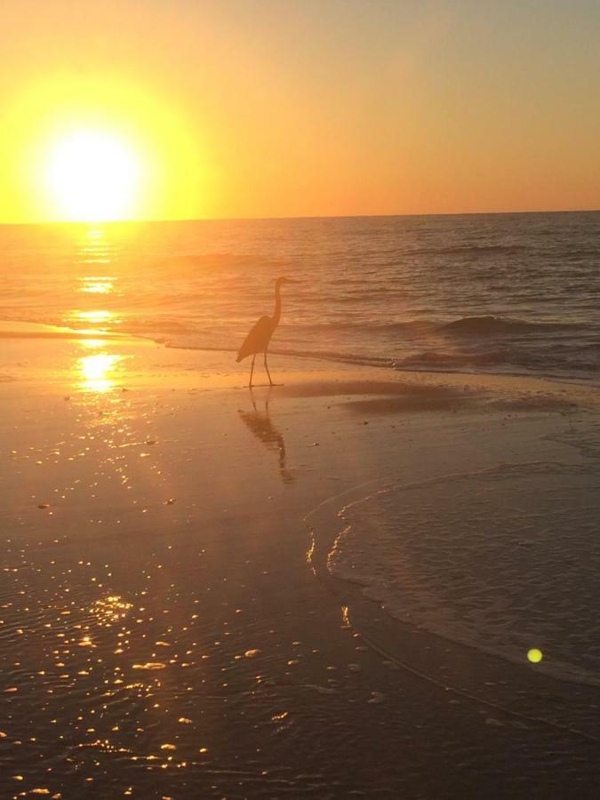 Beautiful! Sunset Harbor Condo For 2-Top Floor 1-309, Navarre Beach エクステリア 写真